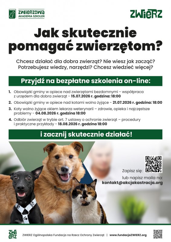 Szkolenia dotyczące opieki nad zwierzętami bezdomnymi oraz kotami wolno żyjącymi