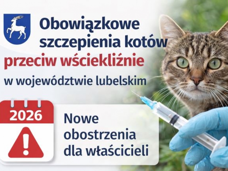 Obowiązkowe szczepienia kotów przeciw wściekliźnie