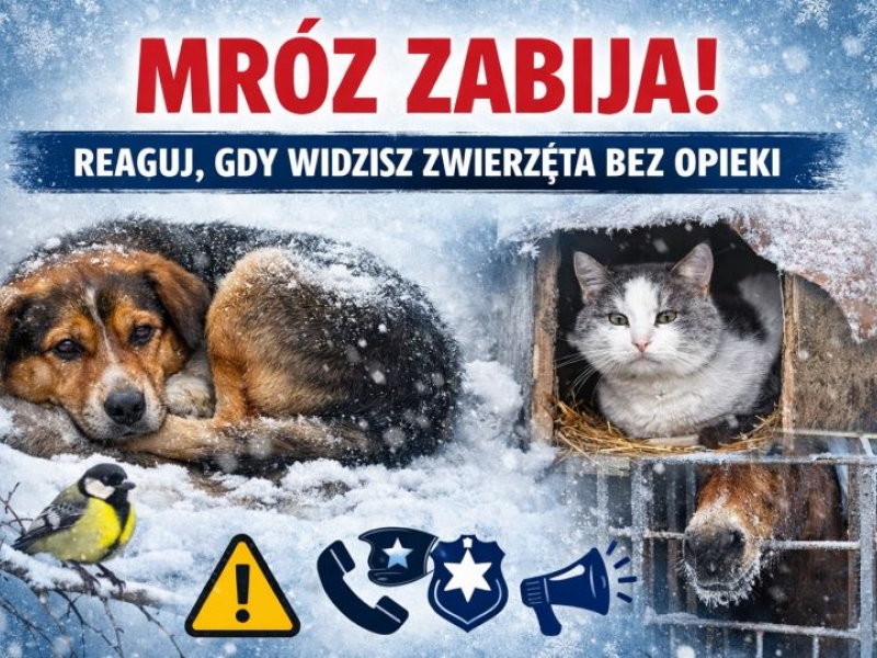 Przygotowanie odpowiednich warunków bytowych, umożliwiających zwierzętom przetrwanie mrozów, jest obowiązkiem każdego właściciela i opiekuna, taki obowiązek nakłada Ustawa o Ochronie Zwierząt.