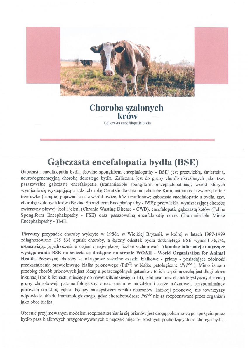 Gąbczasta encefalopatia bydła (BSE)